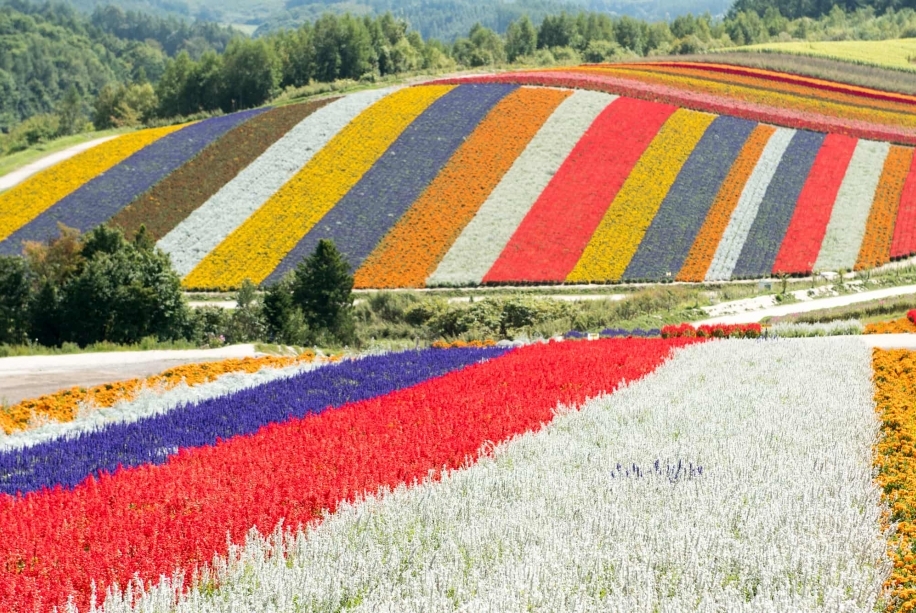 골프장 전경