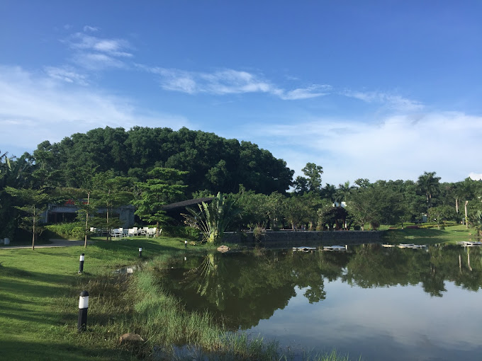 골프장 전경