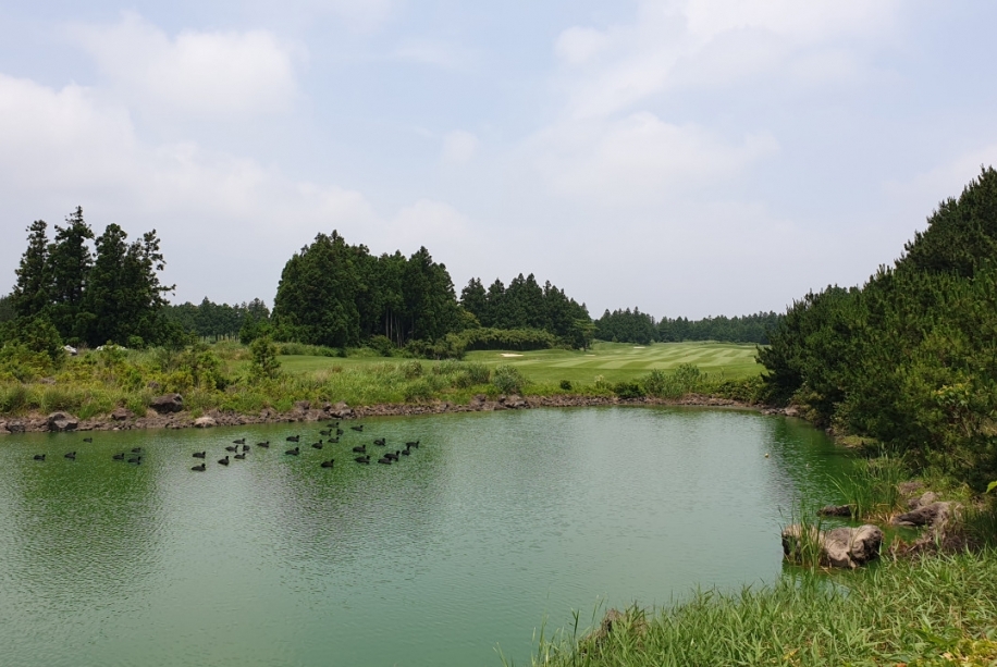 골프장 전경