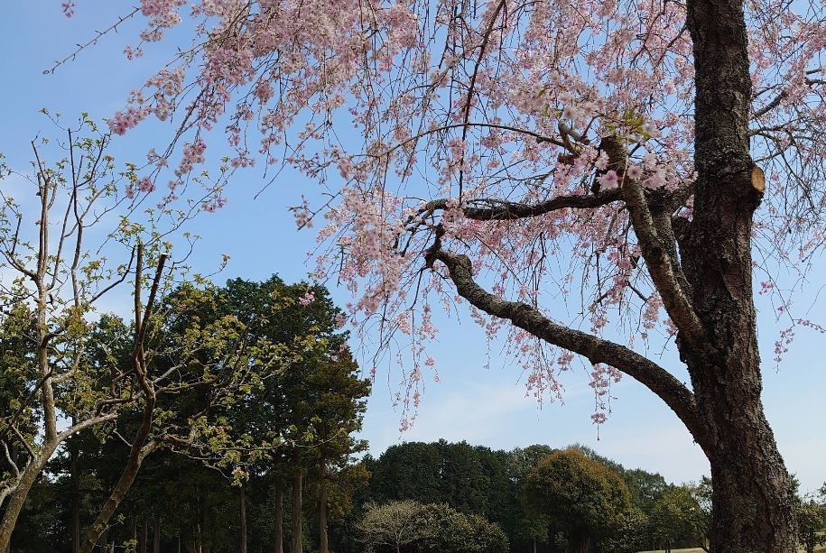 골프장 전경